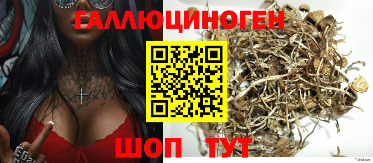 Галлюциногенные грибы Magic Shrooms Губкинский