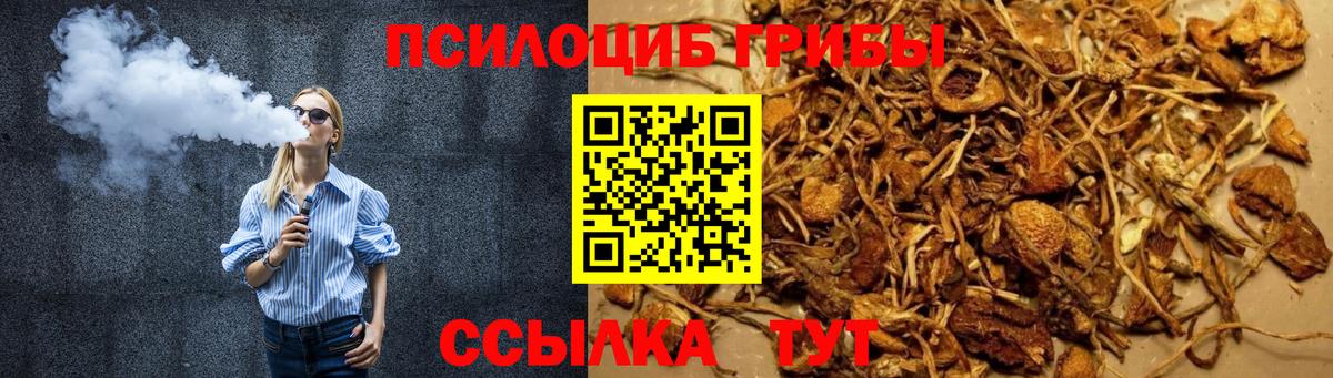Губкинский  Псилоцибиновые грибы Magic Shrooms  Вход с VPN 